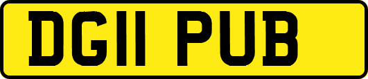 DG11PUB