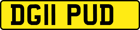 DG11PUD