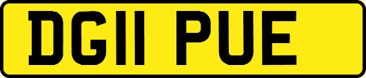 DG11PUE