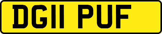 DG11PUF