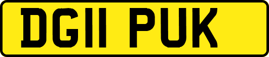 DG11PUK