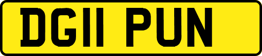 DG11PUN