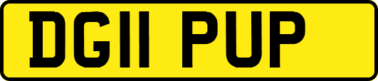 DG11PUP