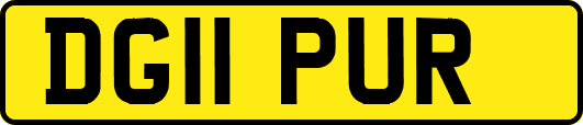 DG11PUR