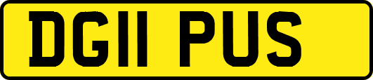 DG11PUS