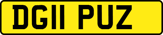 DG11PUZ