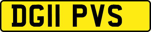DG11PVS