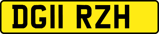 DG11RZH