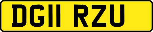 DG11RZU