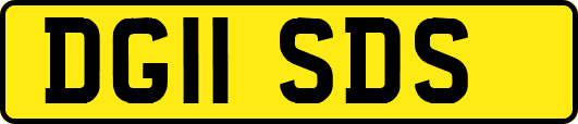 DG11SDS