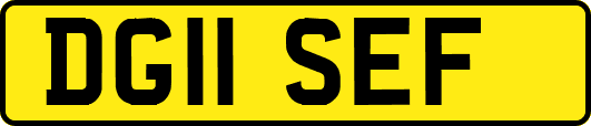 DG11SEF
