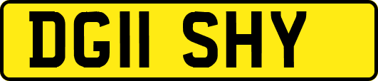 DG11SHY