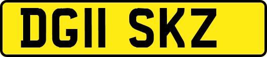 DG11SKZ