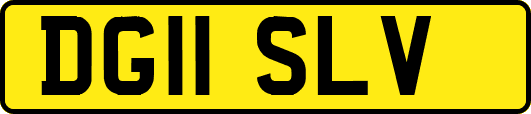 DG11SLV