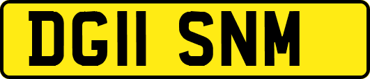 DG11SNM