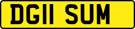 DG11SUM