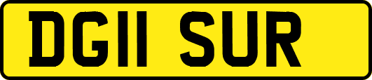 DG11SUR