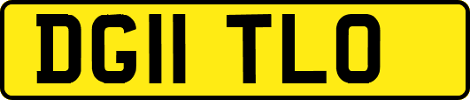 DG11TLO