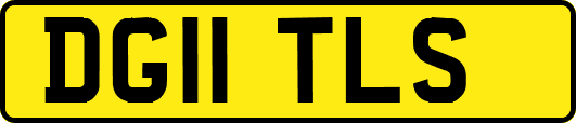 DG11TLS
