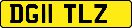 DG11TLZ