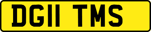 DG11TMS