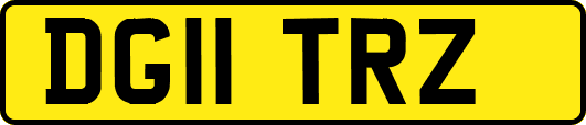 DG11TRZ