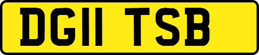 DG11TSB