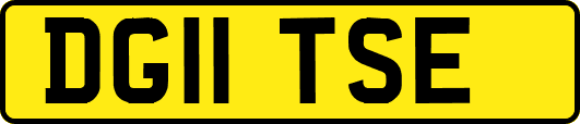 DG11TSE