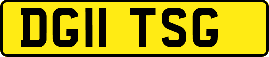 DG11TSG
