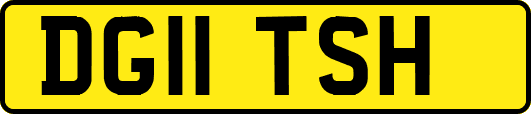 DG11TSH