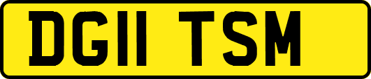DG11TSM