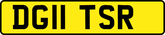 DG11TSR