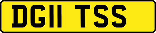 DG11TSS