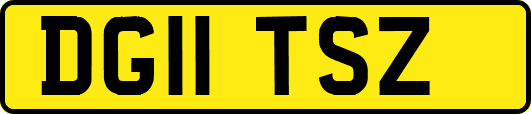 DG11TSZ