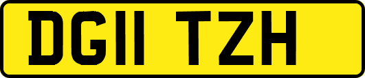 DG11TZH