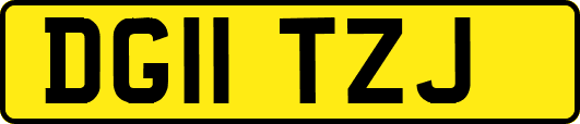 DG11TZJ