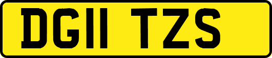 DG11TZS