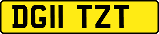 DG11TZT