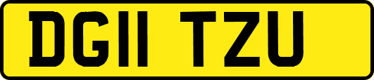 DG11TZU