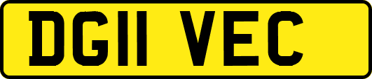 DG11VEC