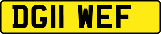 DG11WEF