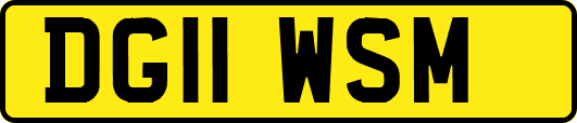 DG11WSM