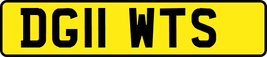 DG11WTS