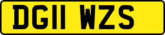 DG11WZS