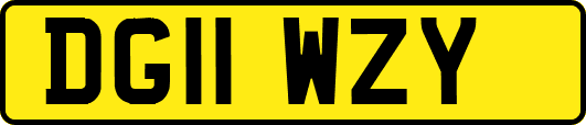 DG11WZY