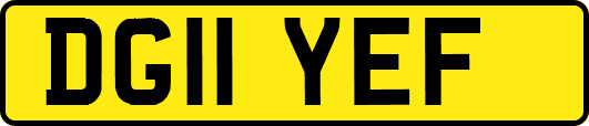DG11YEF