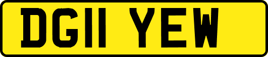 DG11YEW