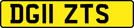 DG11ZTS