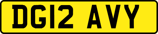 DG12AVY