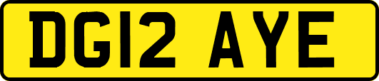 DG12AYE